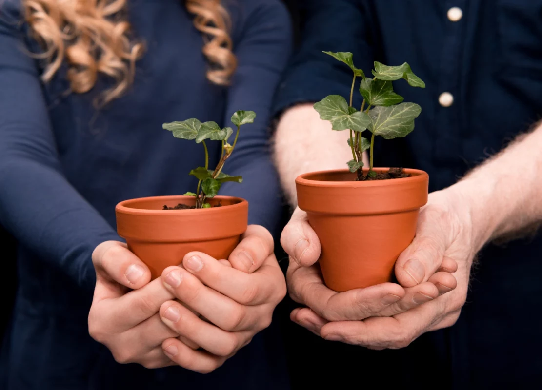 Welkom bij Plantenhoekje