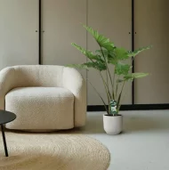 Grote Alocasia Portodora kamerplant in een modern interieur met beige stoel