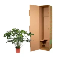 Verpakking voor Philodendron Green Wonder plant van 140 cm