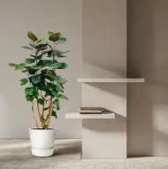 Polyscias Fabian kamerplant in een modern interieur, hoogte 130 cm, met potdiameter van 24 cm