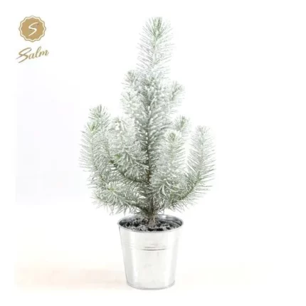 Winterse Pinus Pinea Silver Crest Parasolden, een compacte kerstboom van 35 cm in een stijlvolle zilverkleurige pot, ideaal voor binnen.