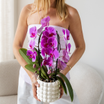 Paarse orchidee - Ø12cm - Afbeelding 3